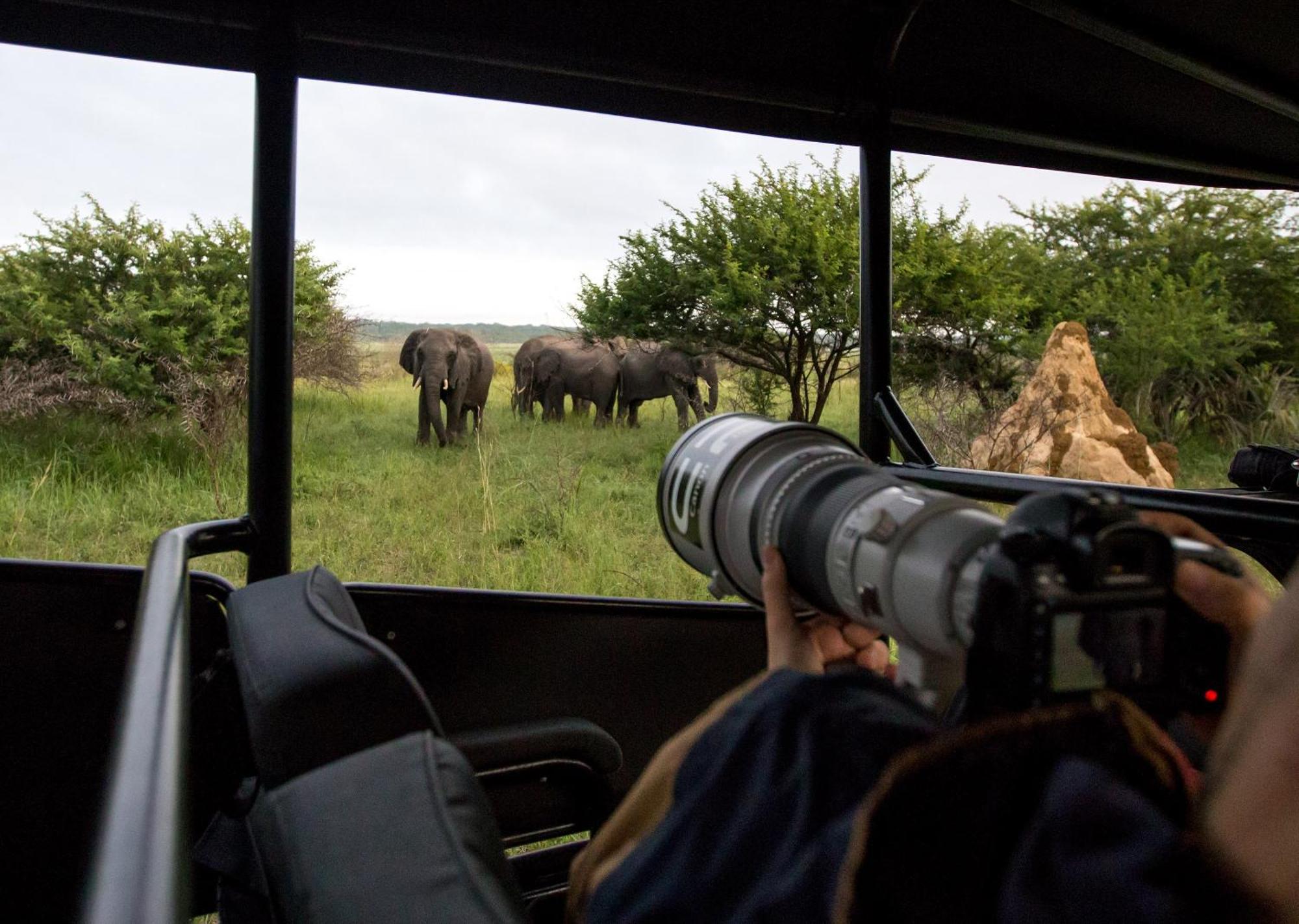 Royal Thonga Safari Lodge Sihangwane Zewnętrze zdjęcie