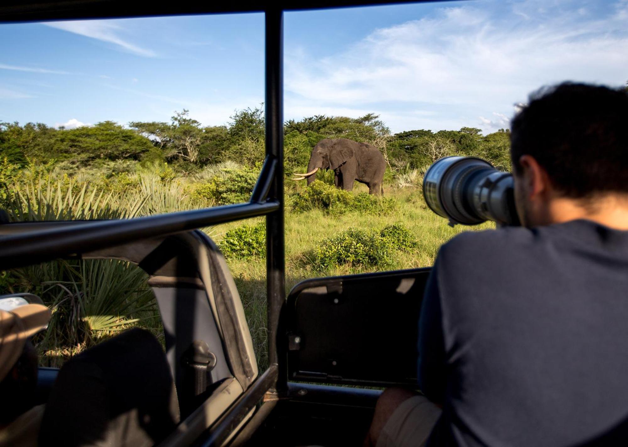 Royal Thonga Safari Lodge Sihangwane Zewnętrze zdjęcie