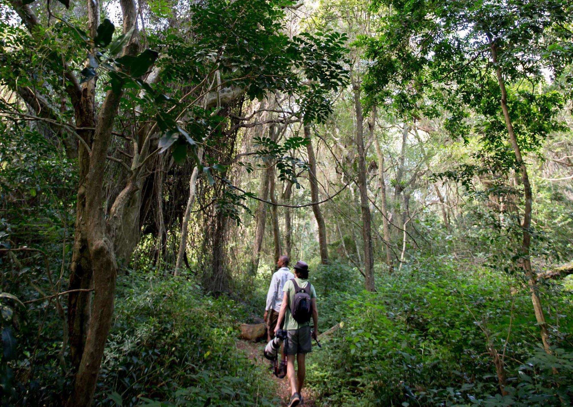 Royal Thonga Safari Lodge Sihangwane Zewnętrze zdjęcie