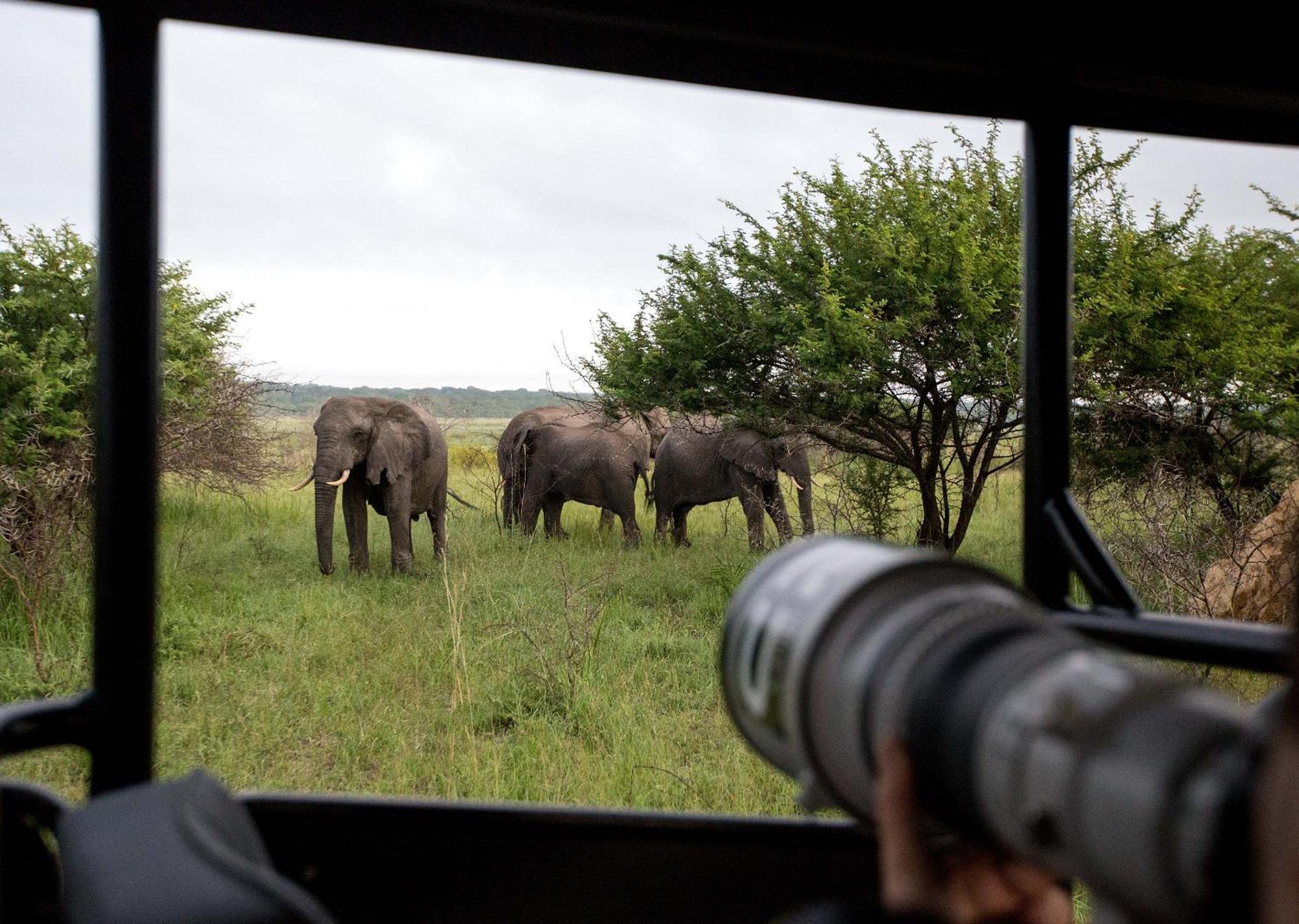 Royal Thonga Safari Lodge Sihangwane Zewnętrze zdjęcie