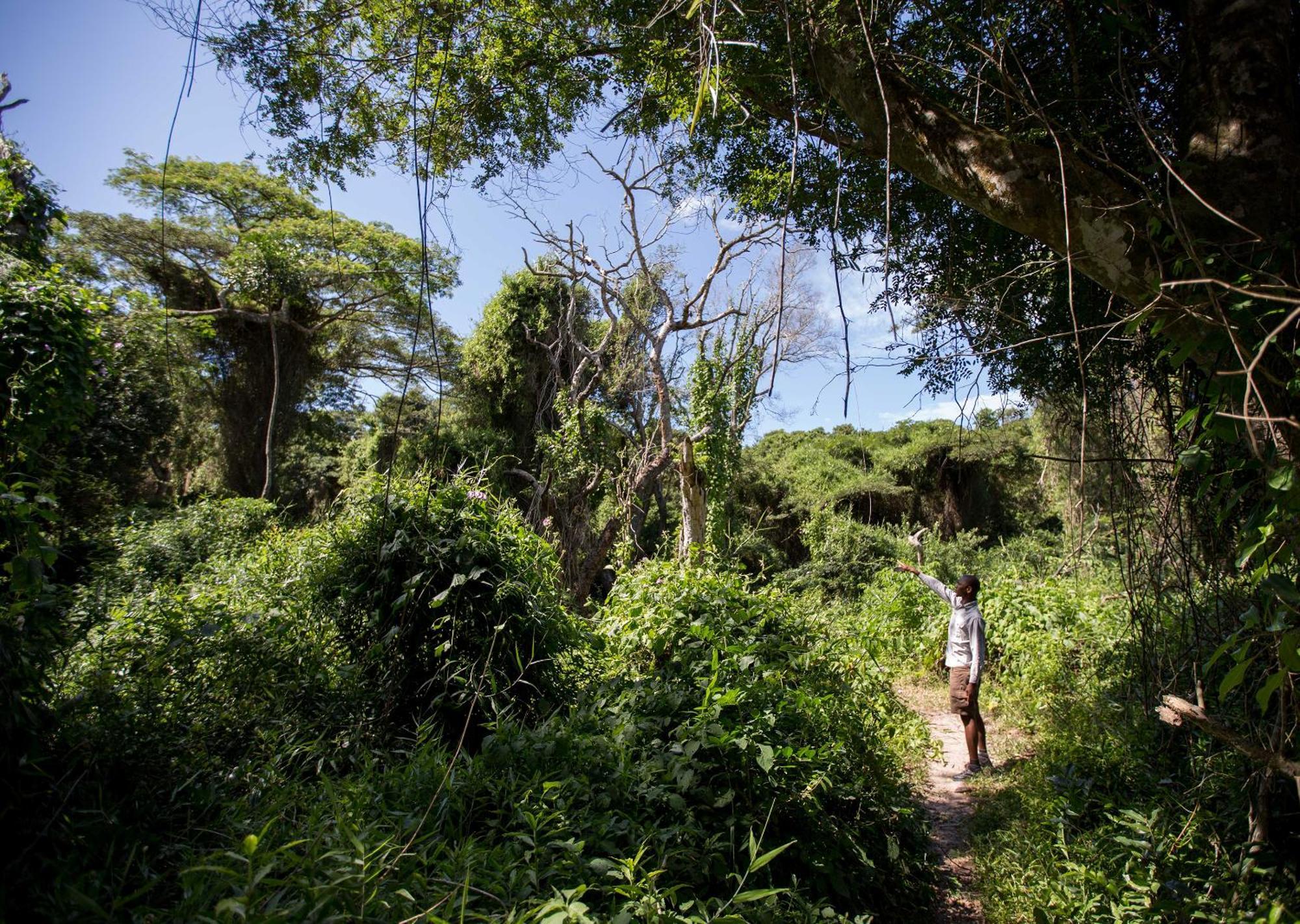 Royal Thonga Safari Lodge Sihangwane Zewnętrze zdjęcie
