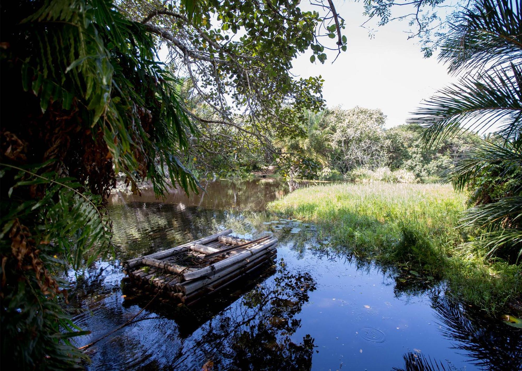 Royal Thonga Safari Lodge Sihangwane Zewnętrze zdjęcie