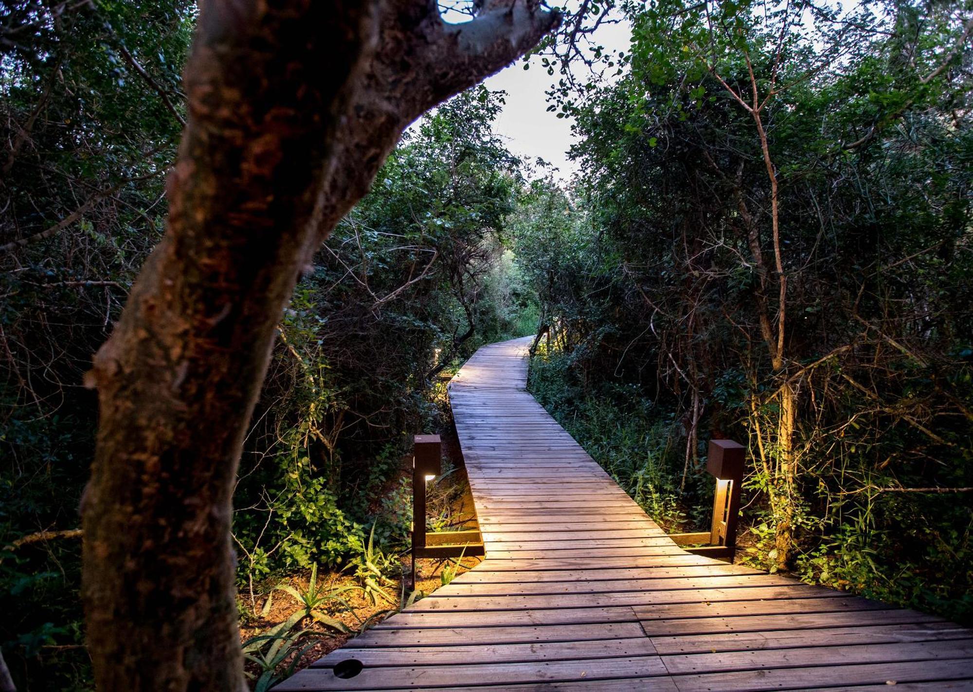 Royal Thonga Safari Lodge Sihangwane Zewnętrze zdjęcie
