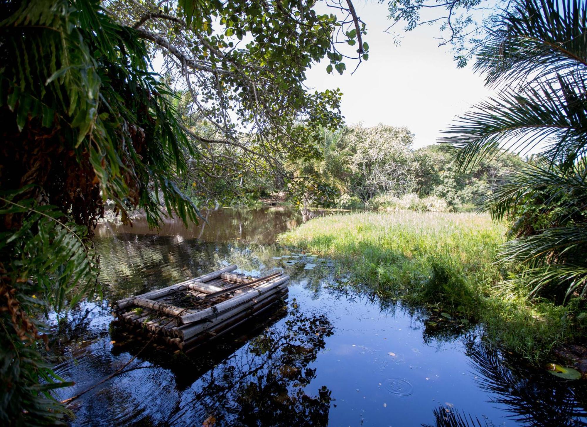 Royal Thonga Safari Lodge Sihangwane Zewnętrze zdjęcie
